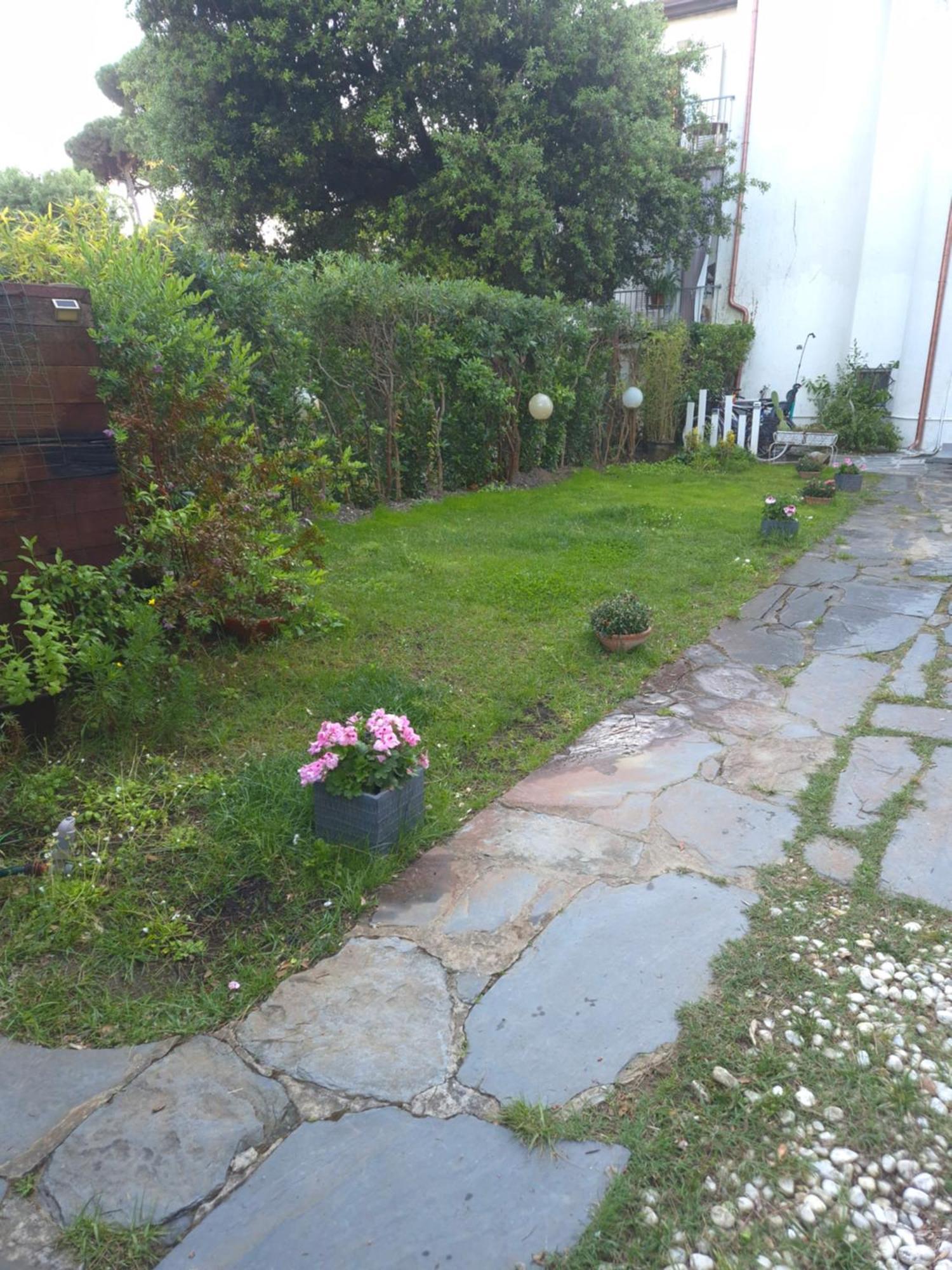 Domusauroom, Relax Nel Cuore Della Versilia - Pet Friendly Viareggio Luaran gambar