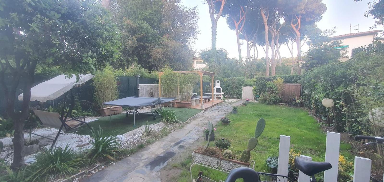 Domusauroom, Relax Nel Cuore Della Versilia - Pet Friendly Viareggio Luaran gambar