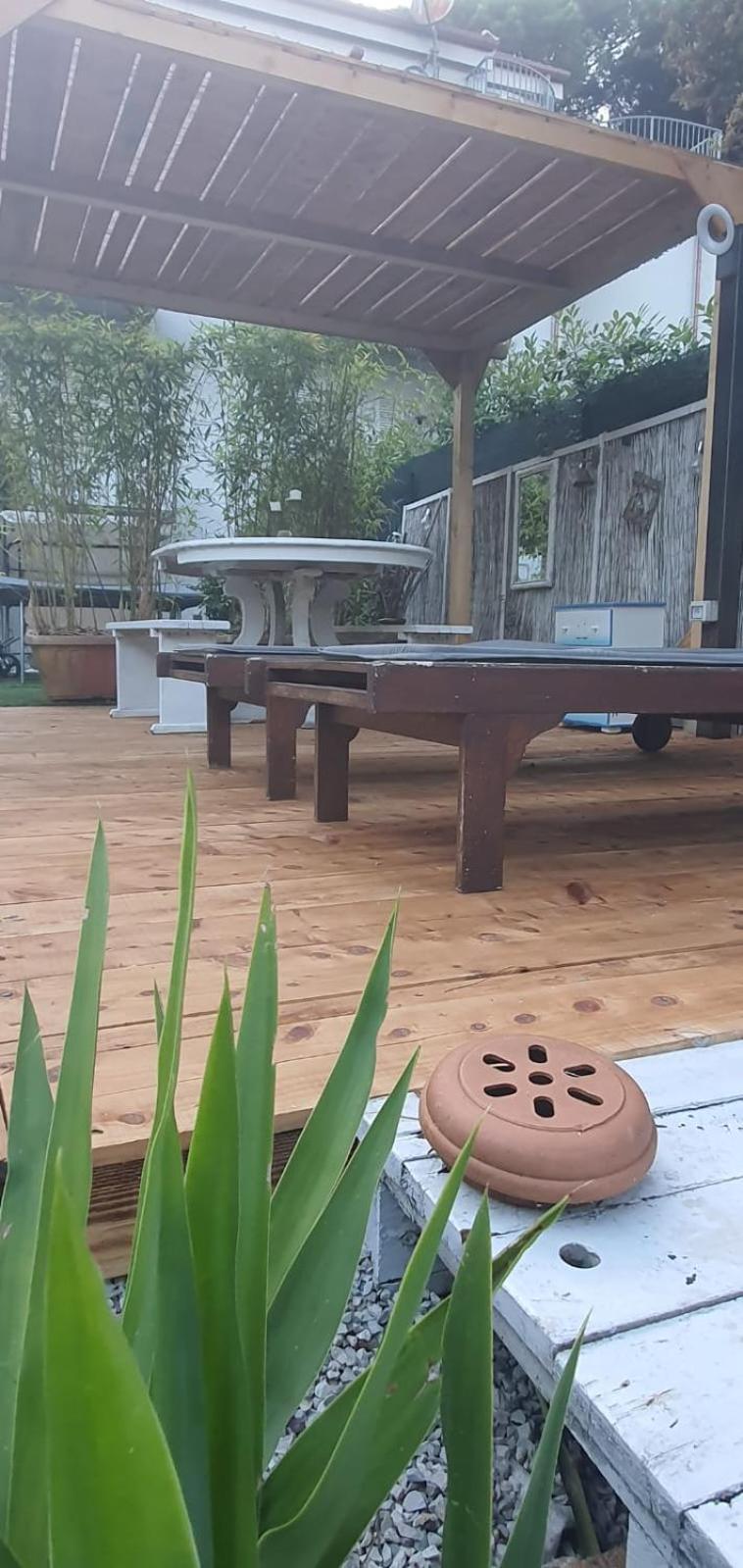 Domusauroom, Relax Nel Cuore Della Versilia - Pet Friendly Viareggio Luaran gambar
