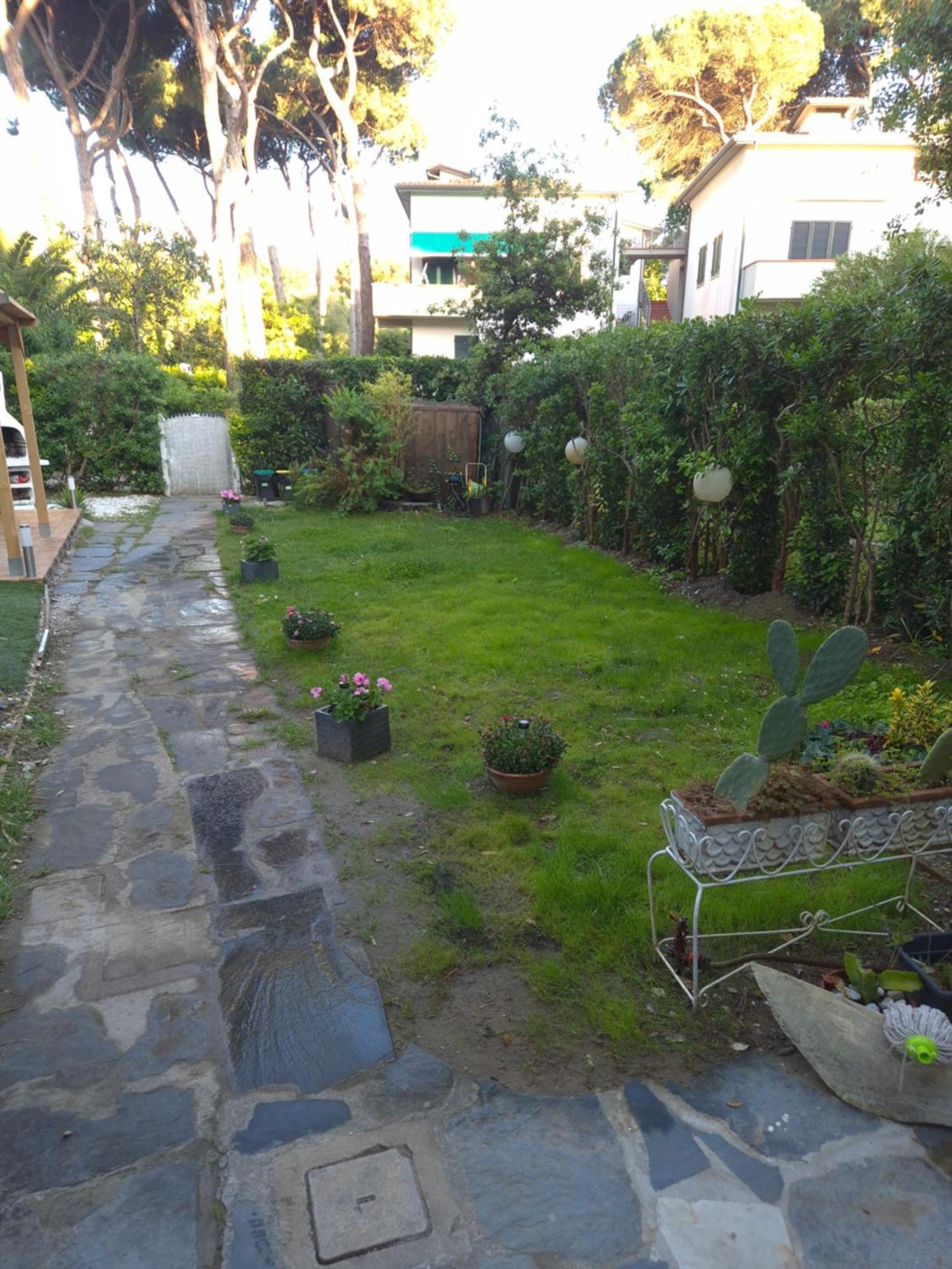 Domusauroom, Relax Nel Cuore Della Versilia - Pet Friendly Viareggio Luaran gambar